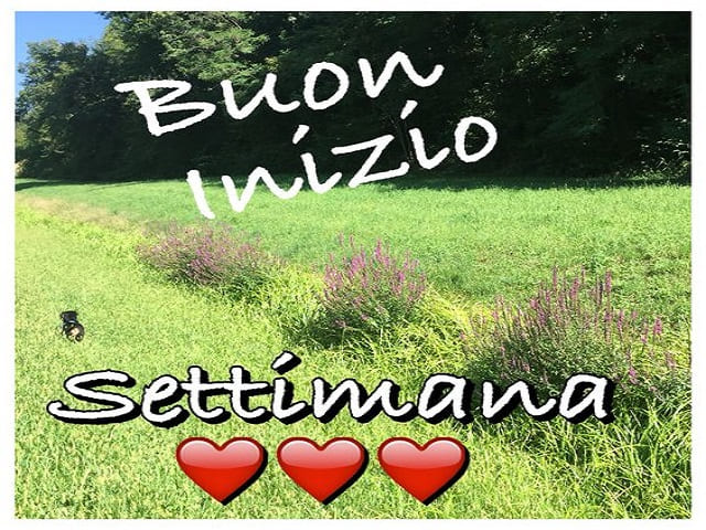 Buon inizio settimana