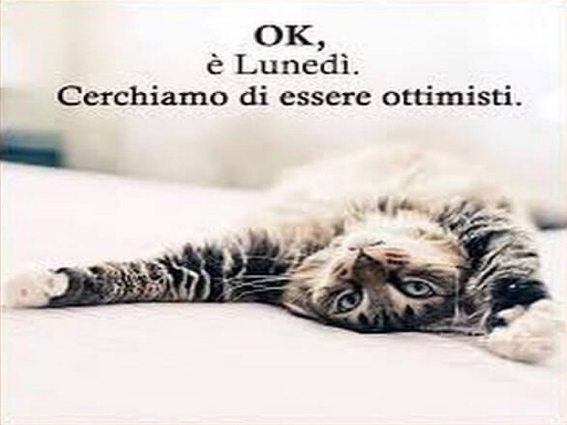 Ok, è Lunedì. Cerchiamo di essere ottimisti.