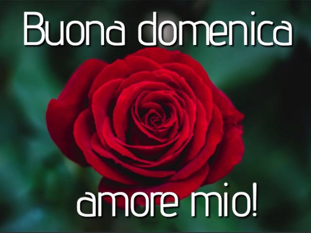 Buona domenica amore mio!