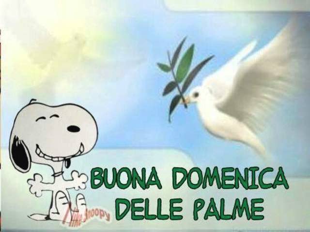 Buona domenica delle Palme