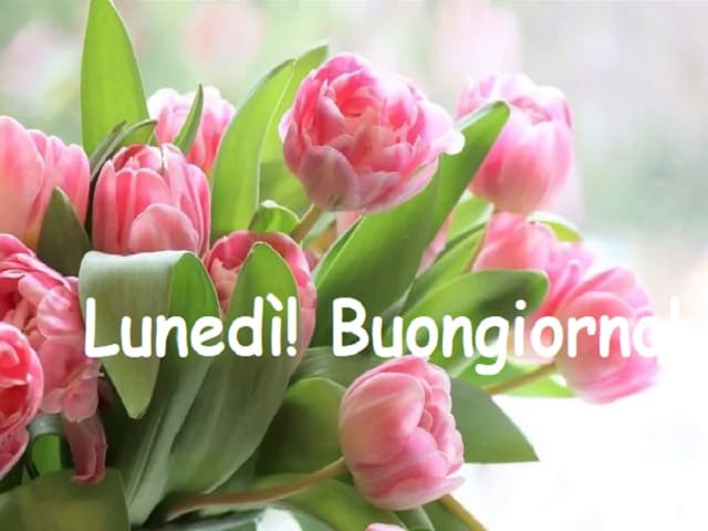 Lunedì! Buongiorno!