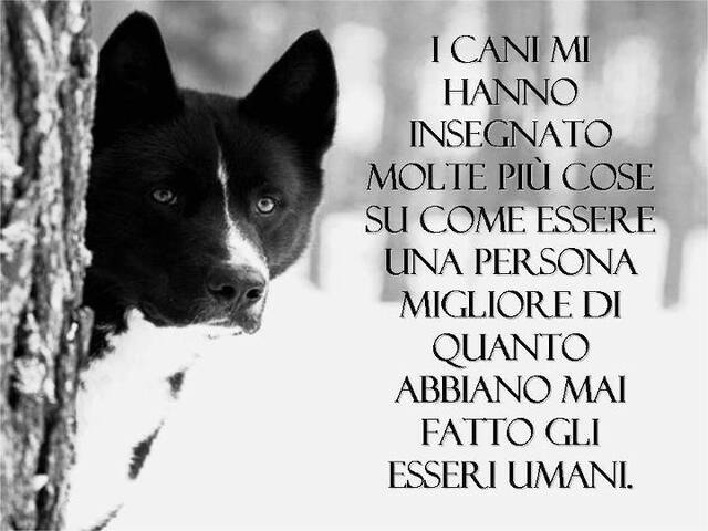 I cani mi hanno insegnato molte più cose su come essere una persona migliore di quanto abbiano mai fatto gli essere umani.
