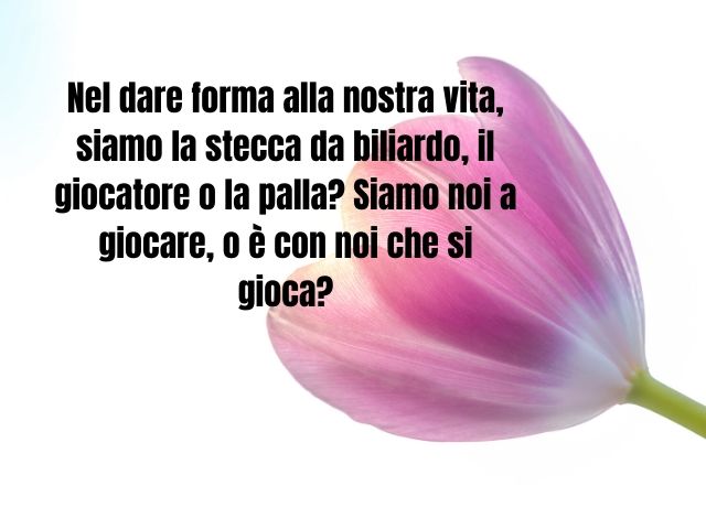 Nel dare forma alla nostra vita, siamo la stecca da biliardo, il giocatore o la palla? Siamo noi a giocare, o è con noi che si gioca?