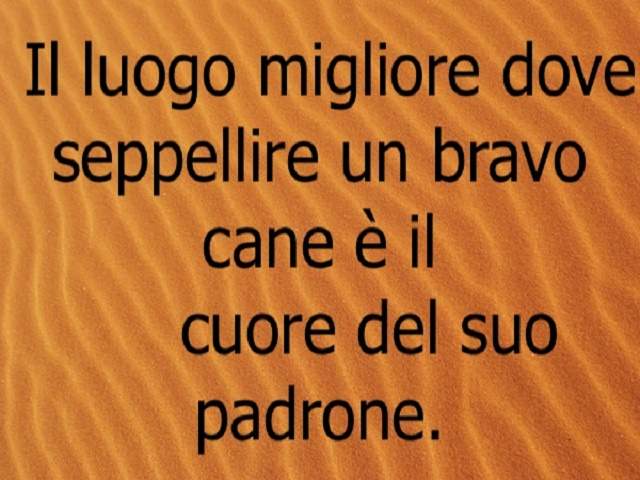 Il luogo migliore dove seppellire un bravo cane è il cuore del suo padrone.