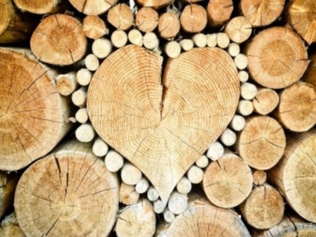 frasi celebri sul cuore