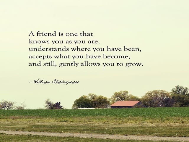 A friend is one that knows you as you are, understand where you have been, accepts what you have become, and still, gently allows you to grow. (Un amico è uno che conosce come sei, capisce dove sei stato, accetta ciò che sei diventato e, tuttavia, ti cons