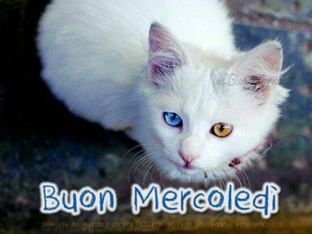 Buon mercoledì! Solo chi sa guardare ancora l'azzurro del cielo possiede il vero oro...