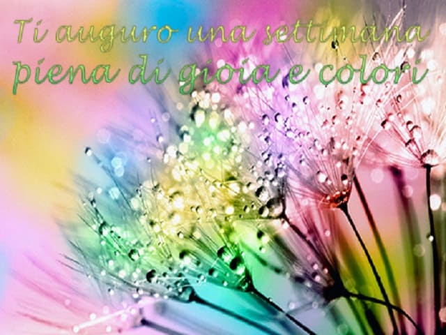 Ti auguro una settimana piena di gioia e colori.