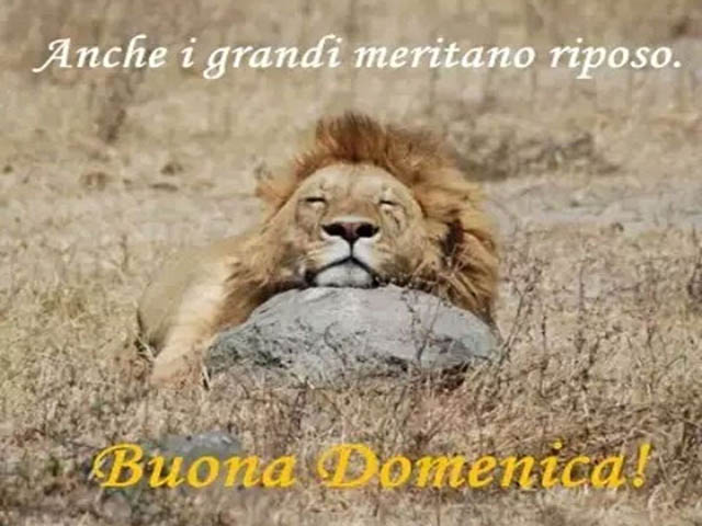 Anche i grandi meritano riposo... buona domenica!