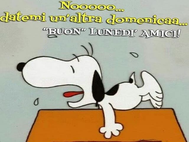 Nooooo... Datemi un'altra domenicaa... Buon lunedì amici