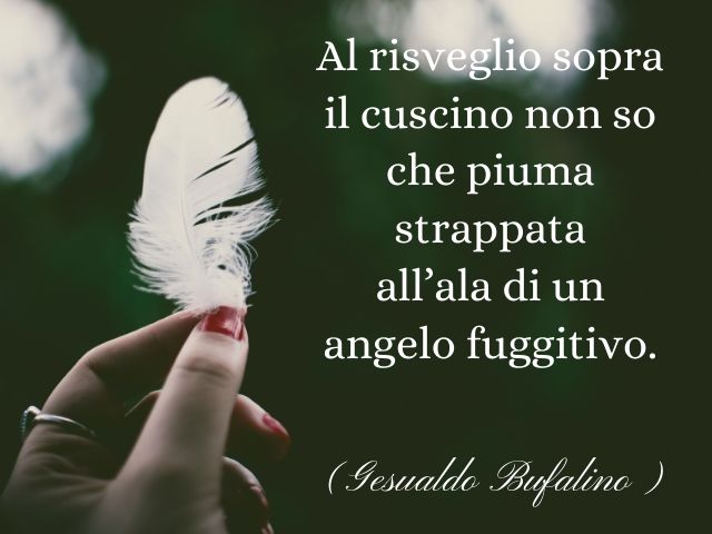 Al risveglio sopra il cuscino non so che piuma strappata all’ala di un angelo fuggitivo.(Gesualdo Bufalino)