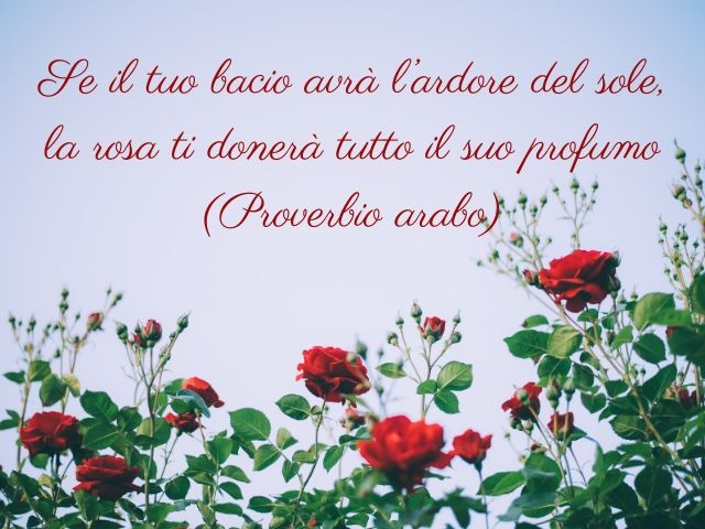 Se il tuo bacio avrà l'ardore del sole, la rosa ti donerà tutto il suo profumo.(Proverbio arabo)