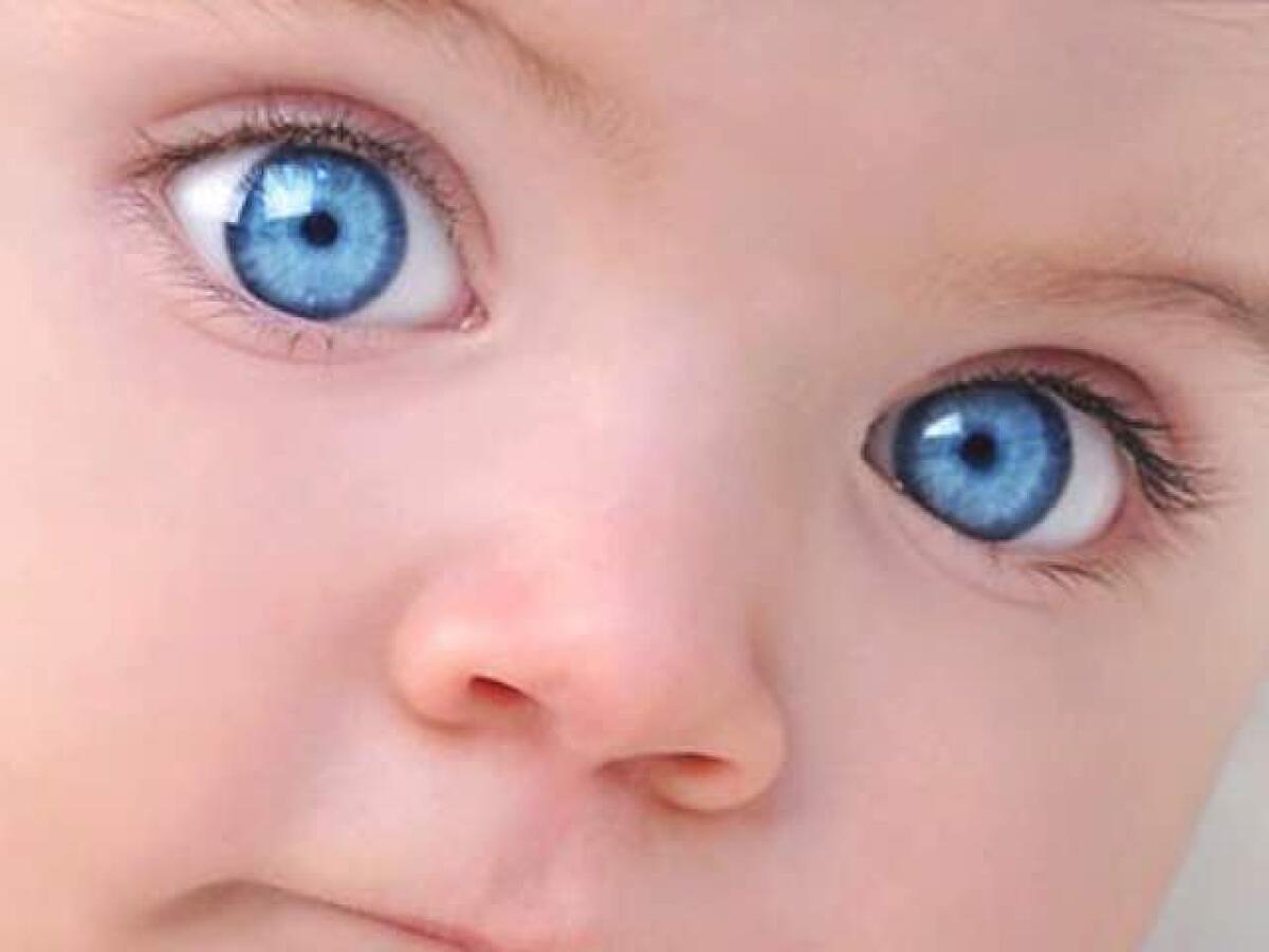 Frasi e immagini sull'infanzia: 278 pensieri sul periodo più bello della vita - 