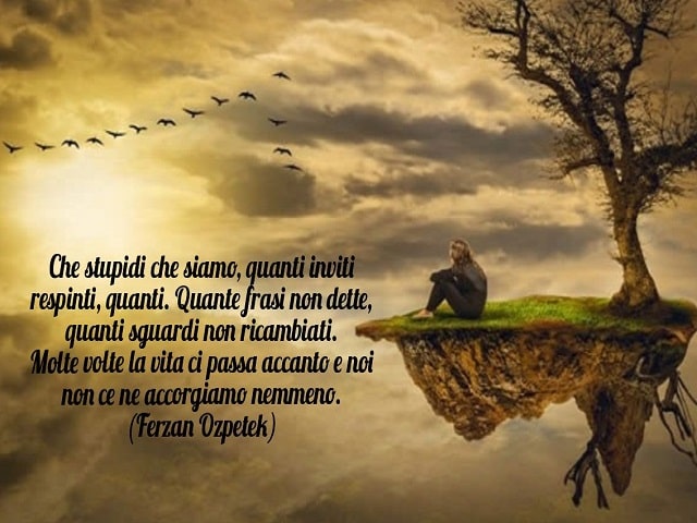 Che stupidi che siamo, quanti inviti respinti, quanti. Quante frasi non dette, quanti sguardi non ricambiati. Molte volte la vita ci passa accanto e noi non ce ne accorgiamo nemmeno.(Ferzan Ozpetek)
