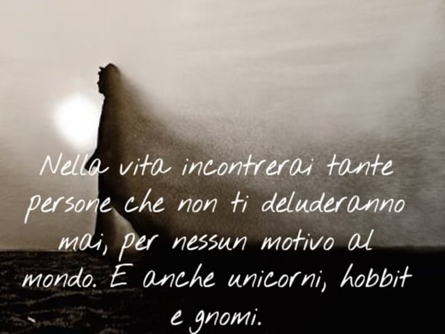 Nella vita incontrerai tante persone che non ti deluderanno mai, per nessun motivo al mondo. E anche unicorni, hobbit e gnomi.