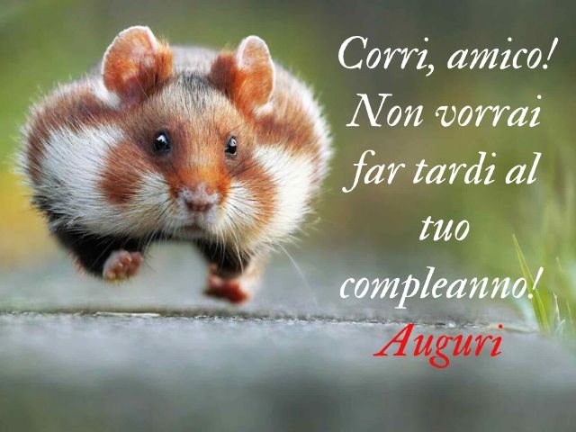 Corri, amico! Non vorrai far tardi al tuo compleanno!Auguri.