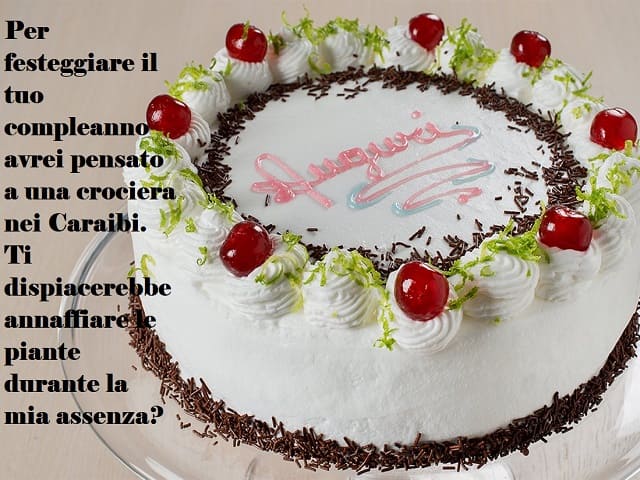 Per festeggiare il tuo compleanno avrei pensato a una crociera ai Caraibi. Ti dispiacerebbe annaffiare le piante durante la mia assenza?