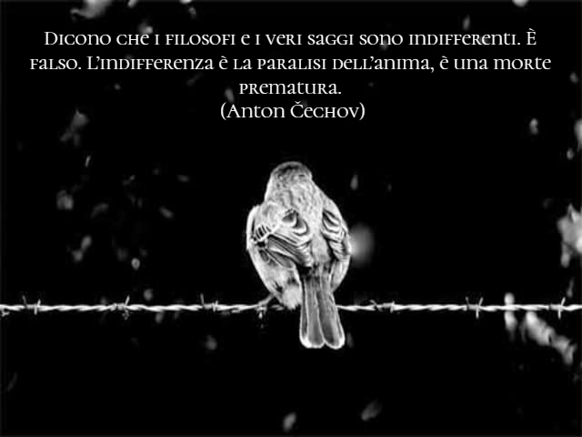 Dicono che i filosofi e i veri saggi sono indifferenti. È falso. L’indifferenza è la paralisi dell’anima, è una morte prematura. (Anton Čechov)