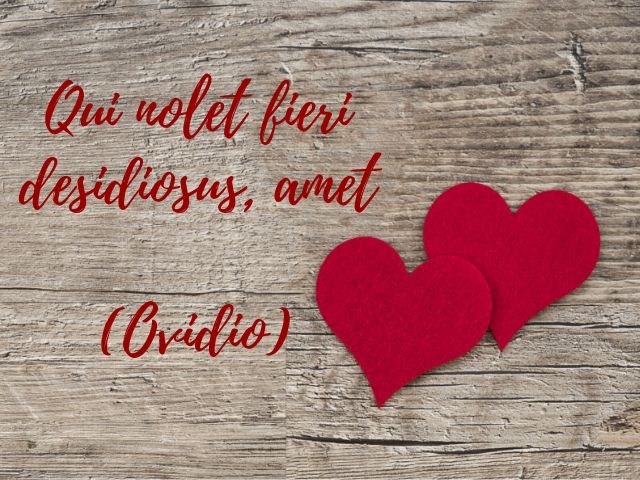 Qui nolet fieri desidiosus, amet.(Chi non vuole diventare inerte, ami)(Ovidio)