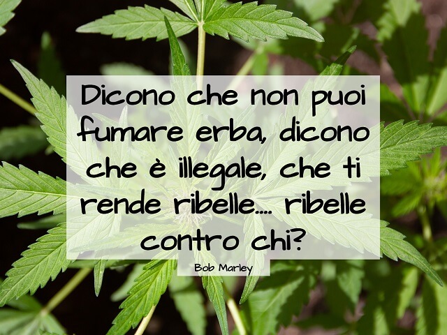 Dicono che non puoi fumare erba, dicono che è illegale, che ti rende ribelle…. ribelle contro chi? (Bob Marley)