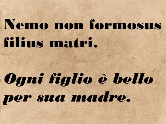 Nemo non formosus filius matri. (Ogni figlio è bello per sua madre.)