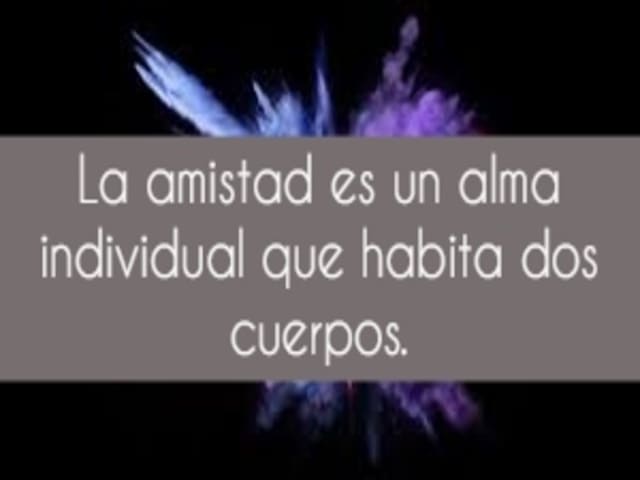 La amistad es un alma individual que habita dos cuerpos.(L’amicizia è una singola anima che vive in due corpi).