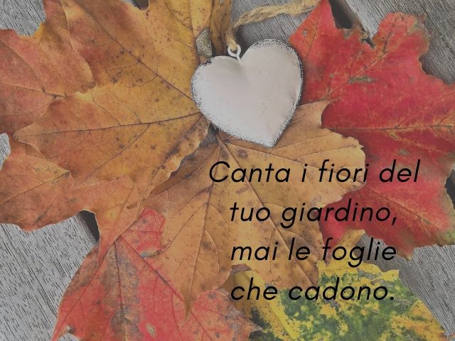 Conta i fiori del tuo giardino, mai le foglie che cadono.