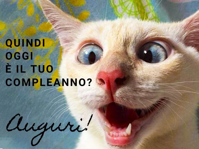Quindi oggi è il tuo compleanno? Auguri!