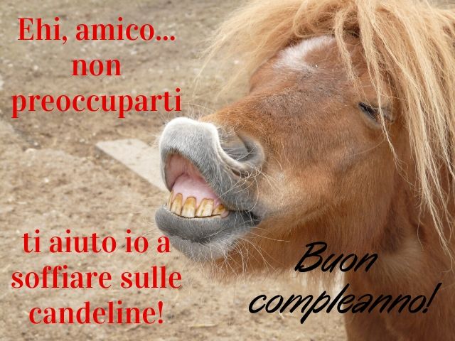 Ehi, amico... non preoccuparti, ti aiuto io a soffiare sulle candeline!Buon compleanno!
