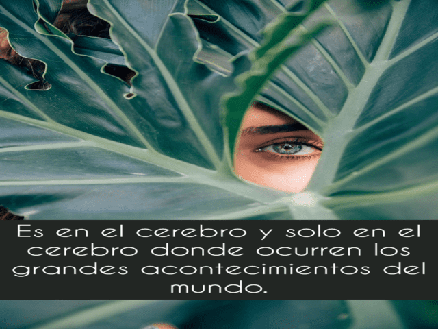 Es en el cerebro y solo en el cerebro donde ocurren los grandes acontecimientos del mundo.(È nel cervello e solo nel cervello che si svolgono i grandi eventi del mondo).