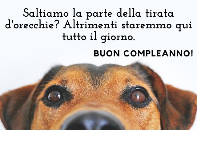 Saltiamo la parte della tirata di orecchie? Altrimenti staremmo qui tutto il giorno.Buon compleanno!
