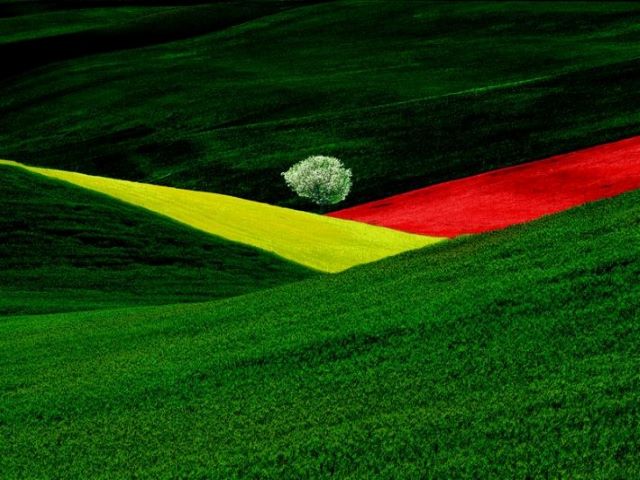 (Franco Fontana)