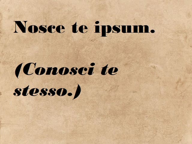 Nosce te ipsum. (Conosci te stesso.)