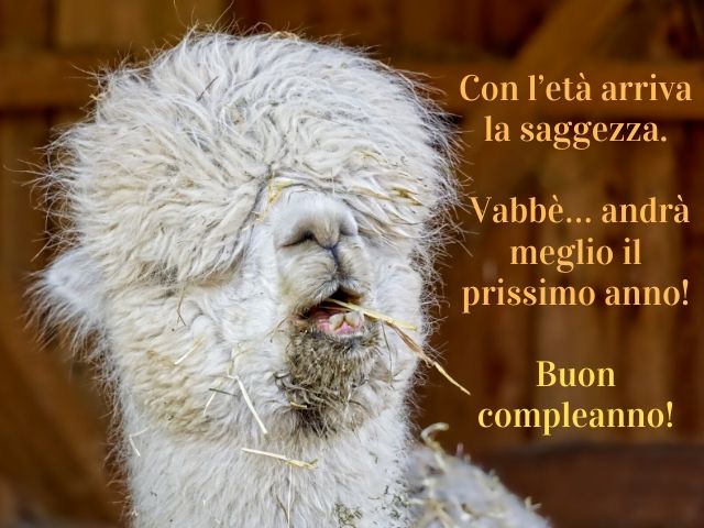Con l'età arriva la saggezza. Vabbè... andrà meglio il prossimo anno!Buon compleanno!