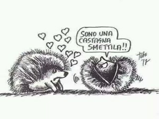 Sono una castagna, smettila!