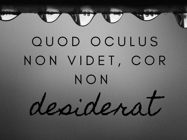 Quod oculus non videt, cor non desiderat.(Ciò che l’occhio non vede, il cuore non desidera)(Proverbio)