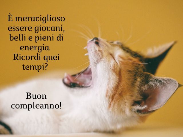 È meraviglioso essere giovani, belli e pieni di energia. Ricordi quei tempi? Buon compleanno!