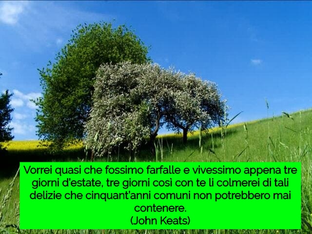 Vorrei quasi che fossimo farfalle e vivessimo appena tre giorni d’estate, tre giorni così con te li colmerei di tali delizie che cinquant’anni comuni non potrebbero mai contenere.(John Keats)