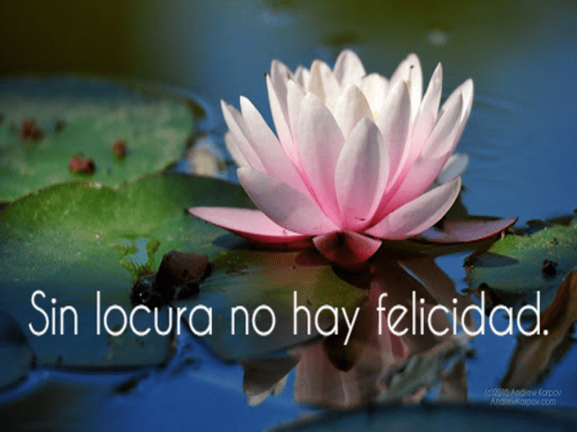 Sin locura no hay felicidad.(Senza follia non c’è felicità).
