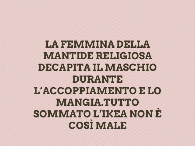 La femmina della mantide religiosa decapita il maschio durante l’accoppiamento e lo mangia. Tutto sommato l'Ikea non è così male!