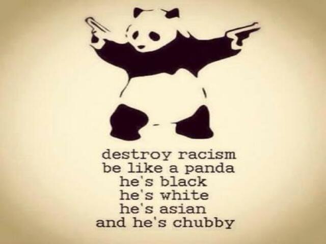 Destroy racism be like a panda: he's black, he's white, he's asian and he's chubby. (Distruggi il razzismo, sii come il panda: è nero, è bianco, è asiatico ed è amato da tutti.)