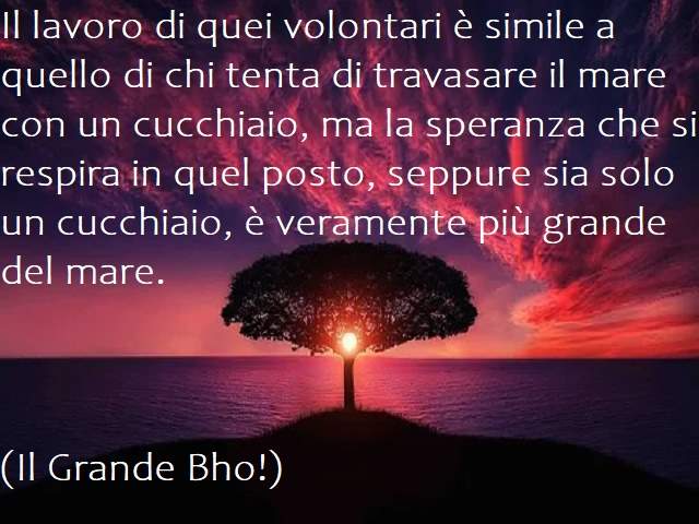 Il lavoro di quei volontari è simile a quello di chi tenta di travasare il mare con un cucchiaio, ma la speranza che si respira in quel posto, seppure sia solo un cucchiaio, è veramente più grande del mare.(Il grande bho!)