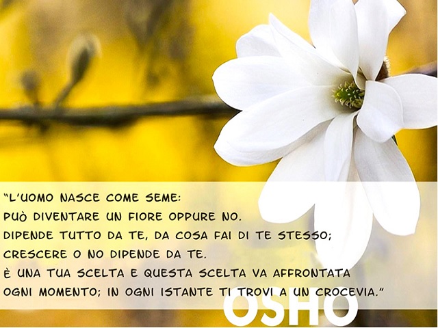 L'uomo nasce come seme: può diventare un fiore oppure no. Dipende tutto da te, da cosa fai di te stesso; crescere o no dipende da te. È una tua scelta e questa scelta va affrontata ogni momento; in ogni istante ti trovi a un crocevia.