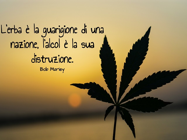 L’erba è la guarigione di una nazione, l’alcol è la sua distruzione. (Bob Marley)