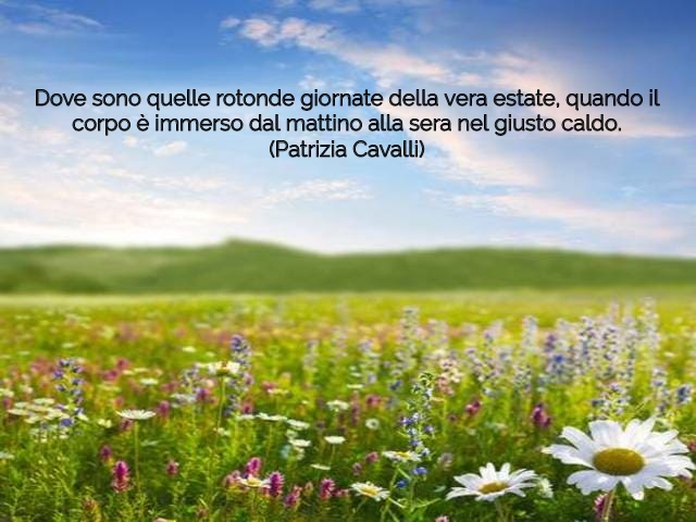 Dove sono quelle rotonde giornate della vera estate, quando il corpo è immerso dal mattino alla sera nel giusto caldo.(Patrizia Cavalli)