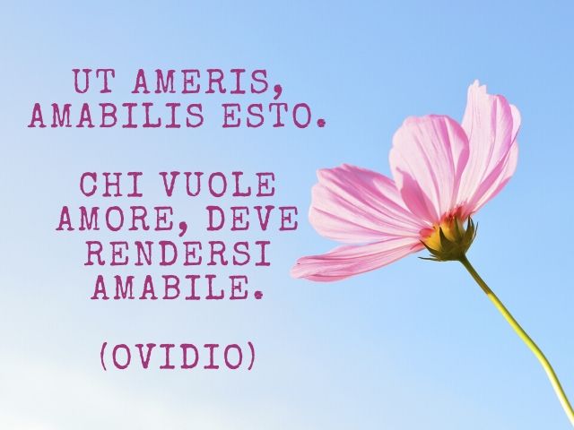 Ut ameris, amabilis esto.(Chi vuole amore, deve rendersi amabile.)(Ovidio)