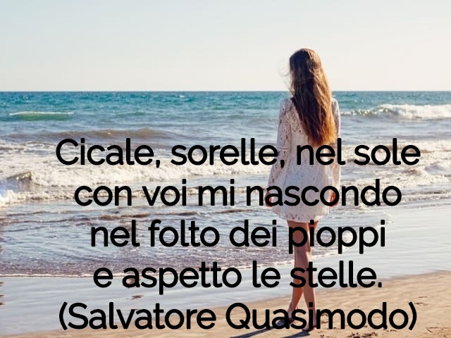 Cicale, sorelle, nel solecon voi mi nascondonel folto dei pioppie aspetto le stelle.(Salvatore Quasimodo)