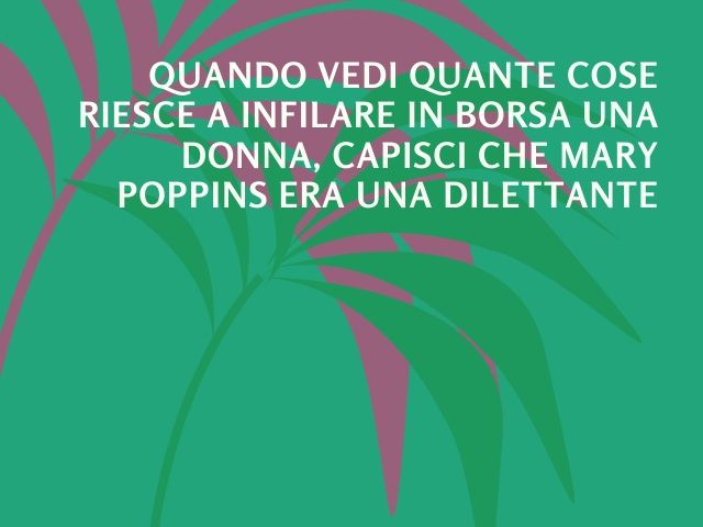 Quando vedi quante cose riesce a infilare in borsa una donna, capisci che Mary Poppins era una dilettante!