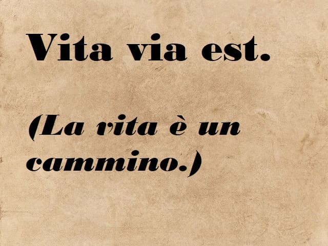 Vita via est. (La vita è un cammino.)