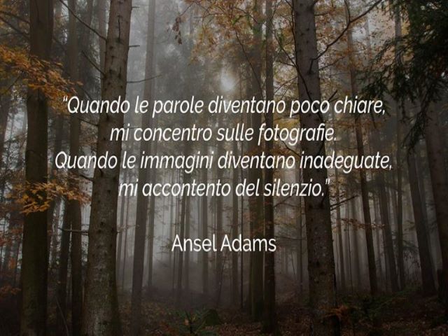 Quando le parole diventano poco chiare, mi concentro sulle fotografie.Quando le immagini diventano inadeguate, mi accontento del silenzio.(Ansel Adams)